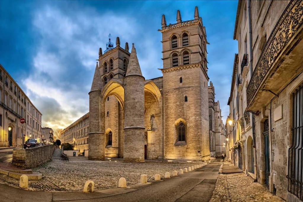 Studio Au Coeur Historique De Montpellier, 2 Personnes Et Wifi Buitenkant foto